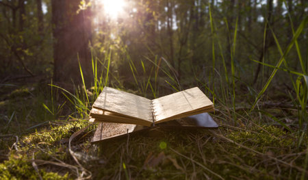 Old book with open blank pages.