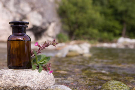 Essential oils and medical flowers herbs.の写真素材