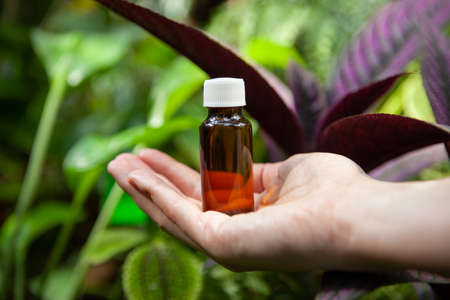 Homeopathy medicine remedies. Selective focus.の写真素材