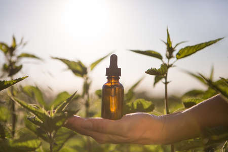 Nettle essence oil and fresh branches blooming nettle.の写真素材