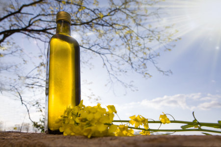 Rapeseed oil bottles (canola) on background rape field.