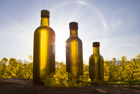 Set big bottle of rape oil on Rape blooming plant. Copy speaceの写真素材