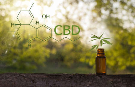Concept of herbal alternative medicine, cbd oil, pharmaceutical industry.の写真素材