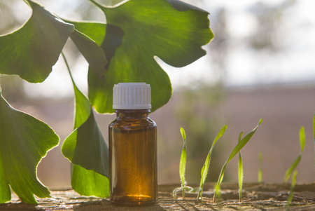 Extract from the ginkgo in bottle, copy speace.の写真素材