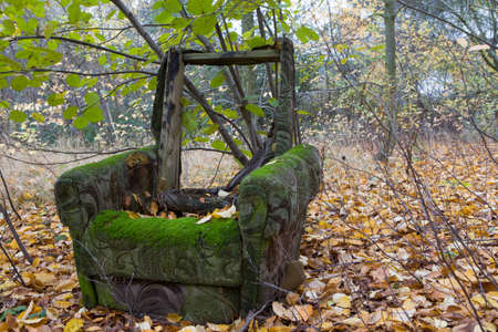 Old, damaged armchair in the autumn surroundings of trees. Destroyed armchair in the autumn forest. Garbage in the forest - ecology.の写真素材