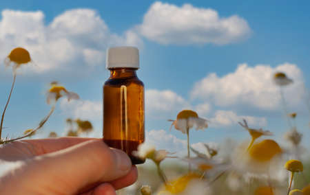 Bottle with essential oil and fresh chamomile flowers isolated on white background.の写真素材