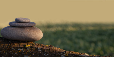 Spa concept zen basalt stones - copy space