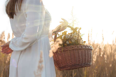 A woman with a basket of herbs, wildflowers - alternative medicine concept. Copy space for text.の写真素材