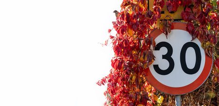 Speed Limit At 30 kmh, copy space.