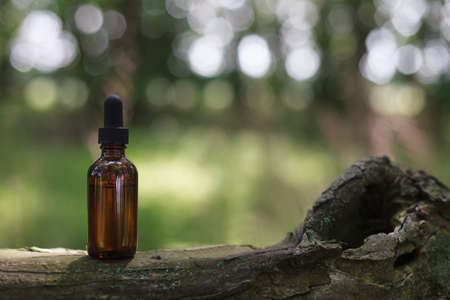 Brown bottle with herbal oil on old tree. Alternative medicine, place for text.の写真素材