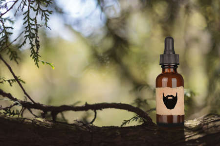Natural beard oil on tree branch. Blurry background, copy spaceの写真素材