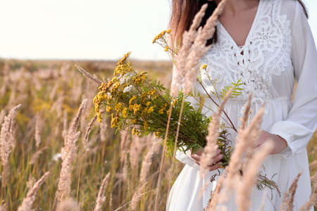 An herbalist gathering herbs in a meadow. Woman and herbs, alternative medicine. Copy spaceの写真素材