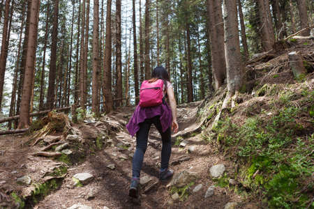 Shot from behind back of woman climbing with backpack in hilly area, forest.の写真素材
