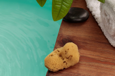 Spa composition, natural goo. Eco-friendly product, zero waste. Space for text