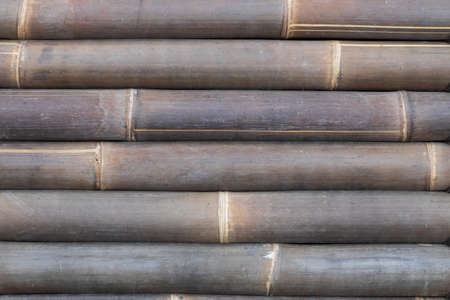 Old bamboo background with texture for banner, thick bamboo.の写真素材