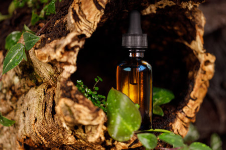 Alternative medicine, a natural remedy. Bottle with a dropper for herbal oil.の写真素材
