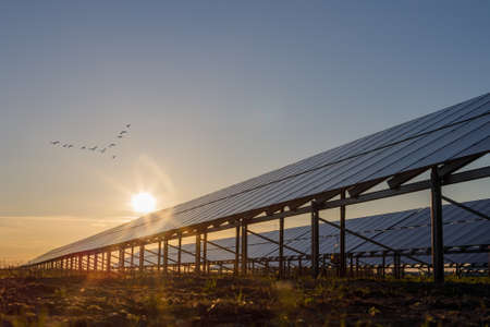 Solar panels and natural landscape in sunny summer, sunset. Copy space.の写真素材