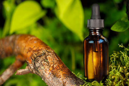 Essential oil of herbs, capped bottle. Natural environment, mock-up. Bach therapyの写真素材
