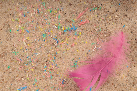Micro lastik in the sand on the beach, bird feather. A symbol of danger for birds.