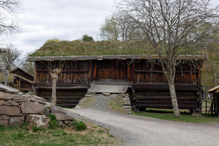 Poland, Poznan - MAY 30, 2022: Norway's typical home. The Oslo location of the Norwegian Museum of Cultural History.のeditorial素材