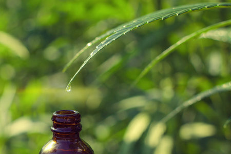 A close-up of a herbal dropper bottle, containing natural oils for holistic health.