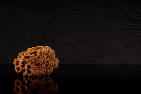 Natural sponge from the ocean on a black background. Organic product, space for text.の写真素材