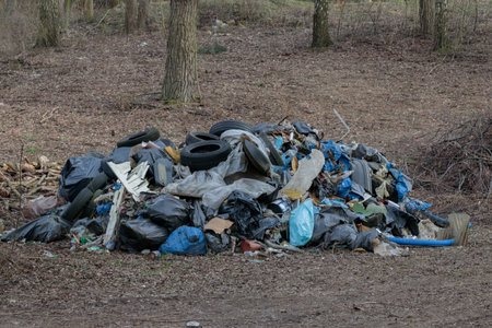 Big pile of rubbish collected in the forest, littering the natural environment, conceptの写真素材