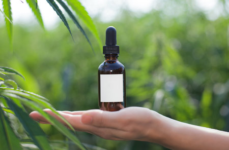 A bottle with a dropper on the background of medicinal cannabis, A bottle presenting a medicinal product on the hand. Copy space, empty label.の写真素材