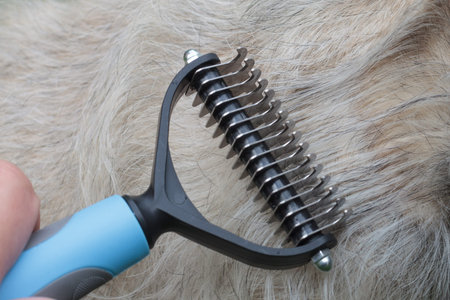 Pet Grooming: Seasonal Shedding and Furminator Use