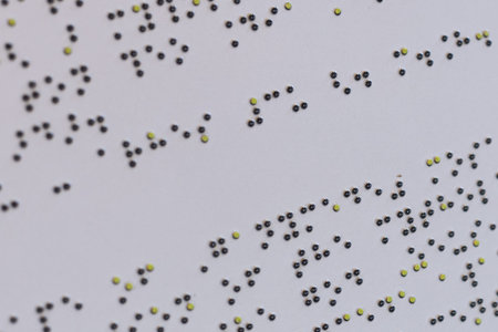 Braille Text on White Surfaceの写真素材