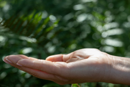 Open Hand in Sunlight with Greenery Background. Mockup for Cosmetic Productの写真素材