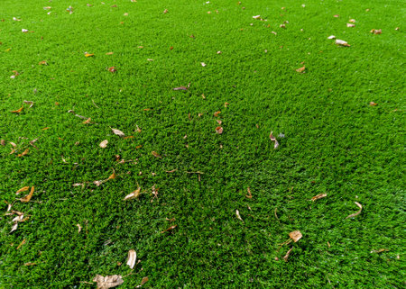 Artificial Grass Lawn with Scattered Fallen Leavesの写真素材