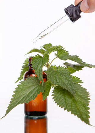 Dropper with Essential Oil and Fresh Nettle Leavesの写真素材