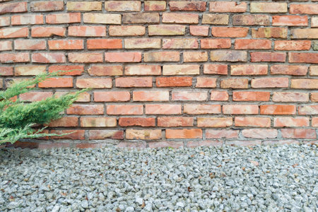 Red brick wall with green plant and gravel foregroundの写真素材