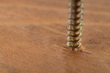 Metal Screw Driven Into Wooden Plankの写真素材