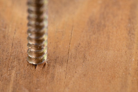 Detailed Screw Thread In Wood Grainの写真素材