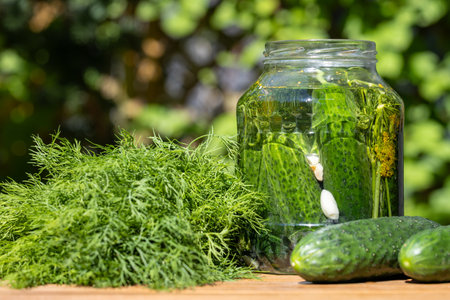 Homemade Pickled Cucumbers Jar With Dillの写真素材