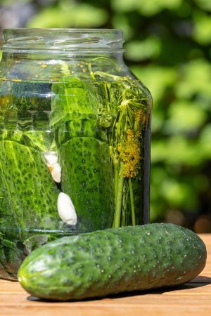 Pickling Jar With Cucumbers And Dillの写真素材