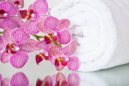 Pink orchid blossoms with soft white towelの写真素材