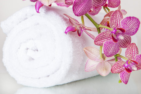Fresh orchid flowers with rolled white towelの写真素材