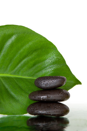 Wet black spa stones and green leafの写真素材