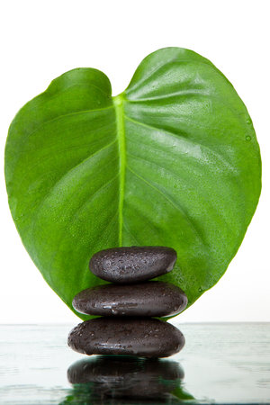 Zen stones stacked in front of green tropical leafの写真素材