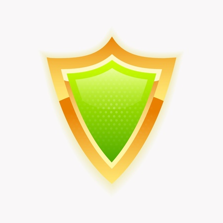 shield of protection against Internet virusのイラスト素材