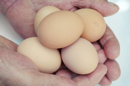 eggs in their hands