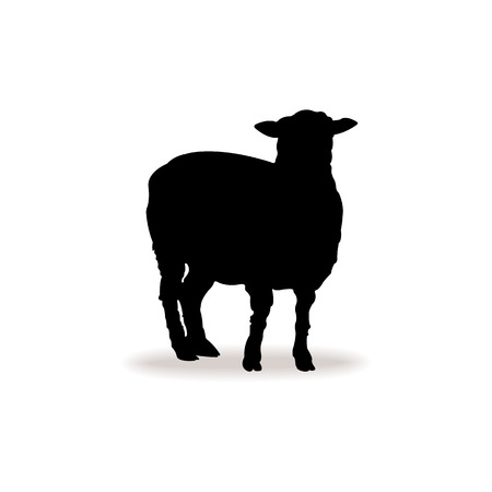 Form contour of sheepのイラスト素材