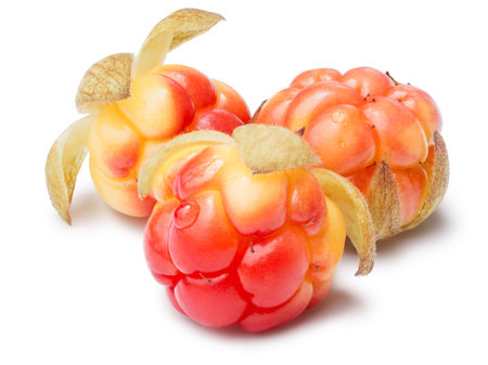 Three cloudberries (Rubus Chamaemorus). Clipping paths, berries and shadow separated, infinite depth...