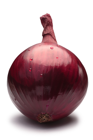 Red or purple onion bulb (Allium cepa), whole.の写真素材