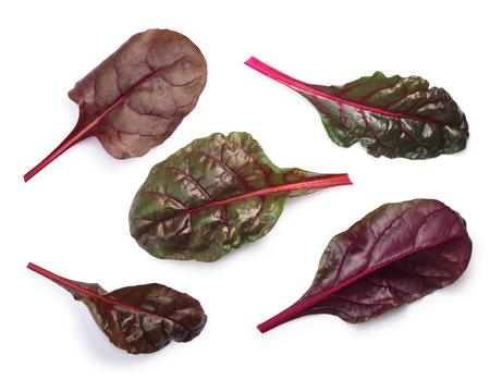 Top view of Leaves of Swiss chard or Mangold (Beta vulgaris subsp. Cicla-Group). Clipping paths, shadows separatedの写真素材