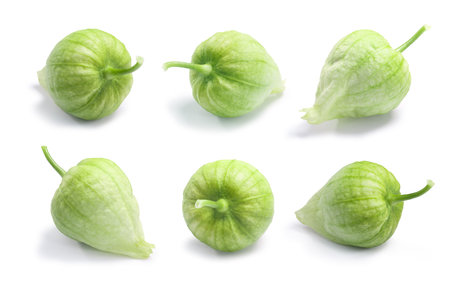 Single green Tomatillos (fruits of Physalis philadelphica) in their own husks. Clipping paths for...