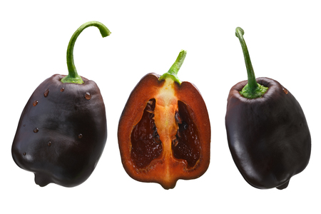 Brown Rocoto chile peppers (Capsicum pubescens).の写真素材